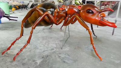 昆虫模型